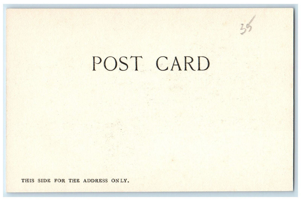 c1905 Merchant's Bridge St. Louis Missouri MO Albertype Co. Postcard