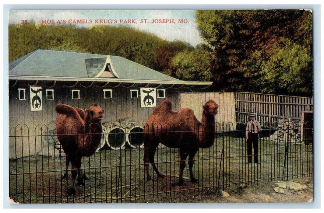 c1910's Moila's Camels Krug's Park St. Joseph Missouri MO Antique Postcard
