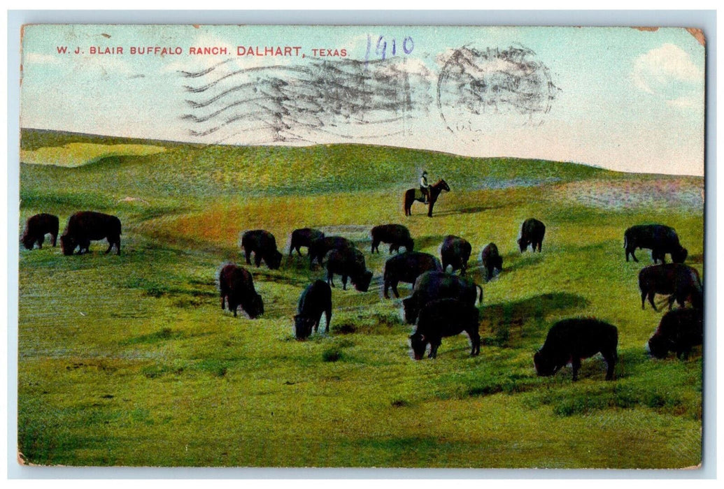 1910 WJ Blair Buffalo Ranch Dalhart Texas TX Antique Posted Postcard