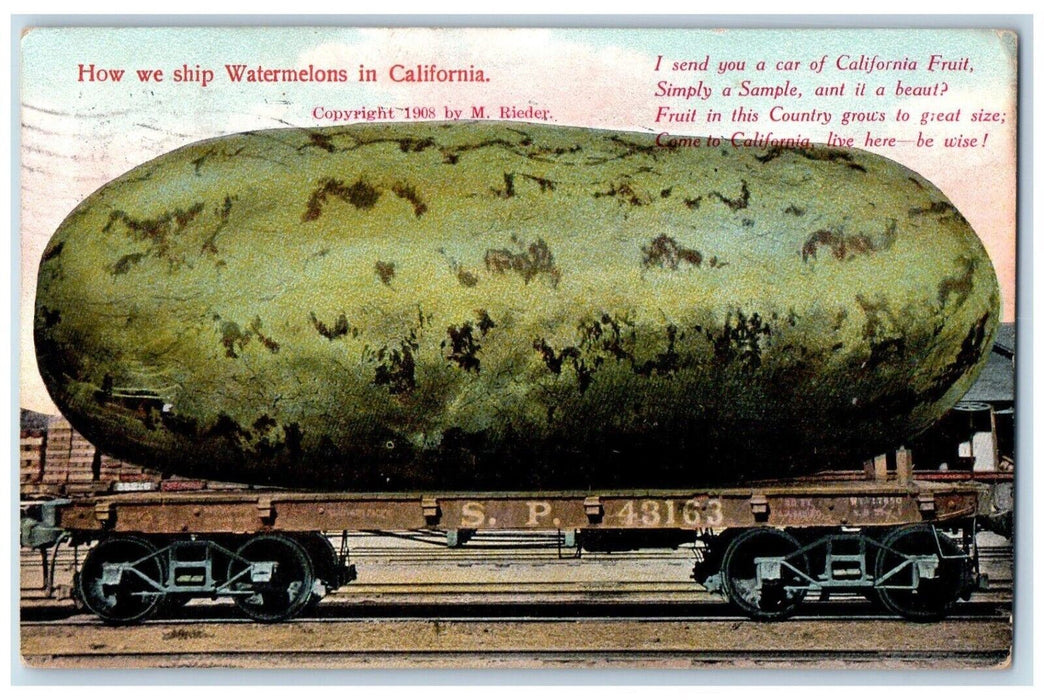 1908 Exaggerated Watermelons In California SP 43163 Wagon Stockton CA Postcard