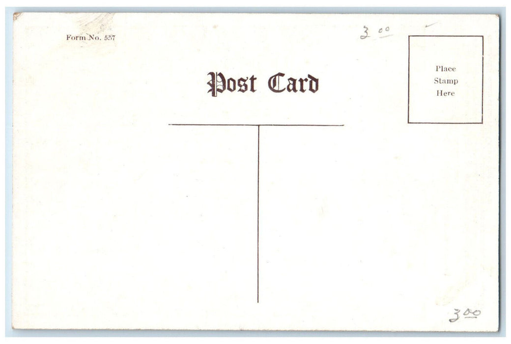 Central Panel Three Memorial Windows American Red Cross Washington DC  Postcard