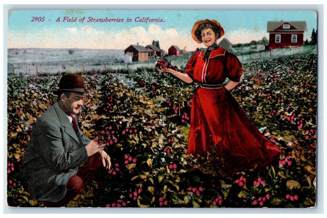 1914 A Field Of Strawberries Garden In Santa Margarita California CA Postcard