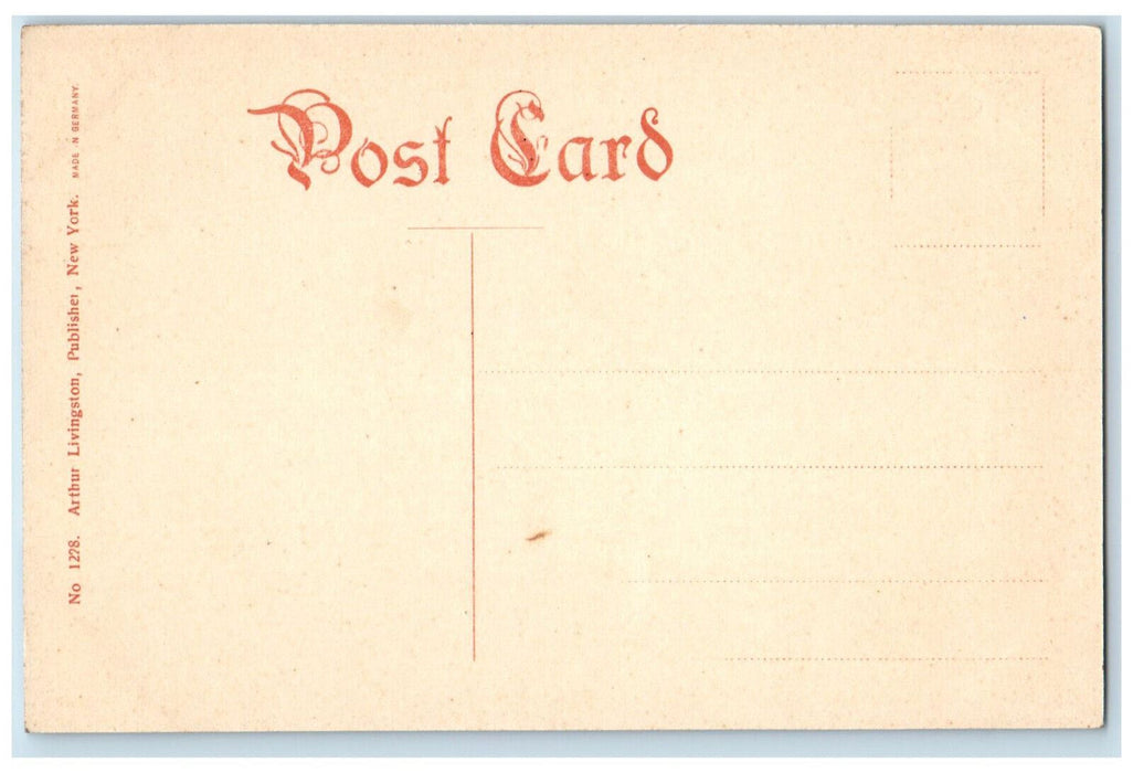 c1910 The North Star Maine S.S. Co. Antique Unposted Arthur Livingston Postcard