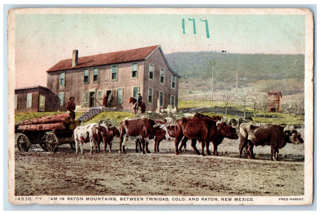 1912 Woods Bull Carriage Raton Mountains Raton NM Phostint Fred Harvey Postcard
