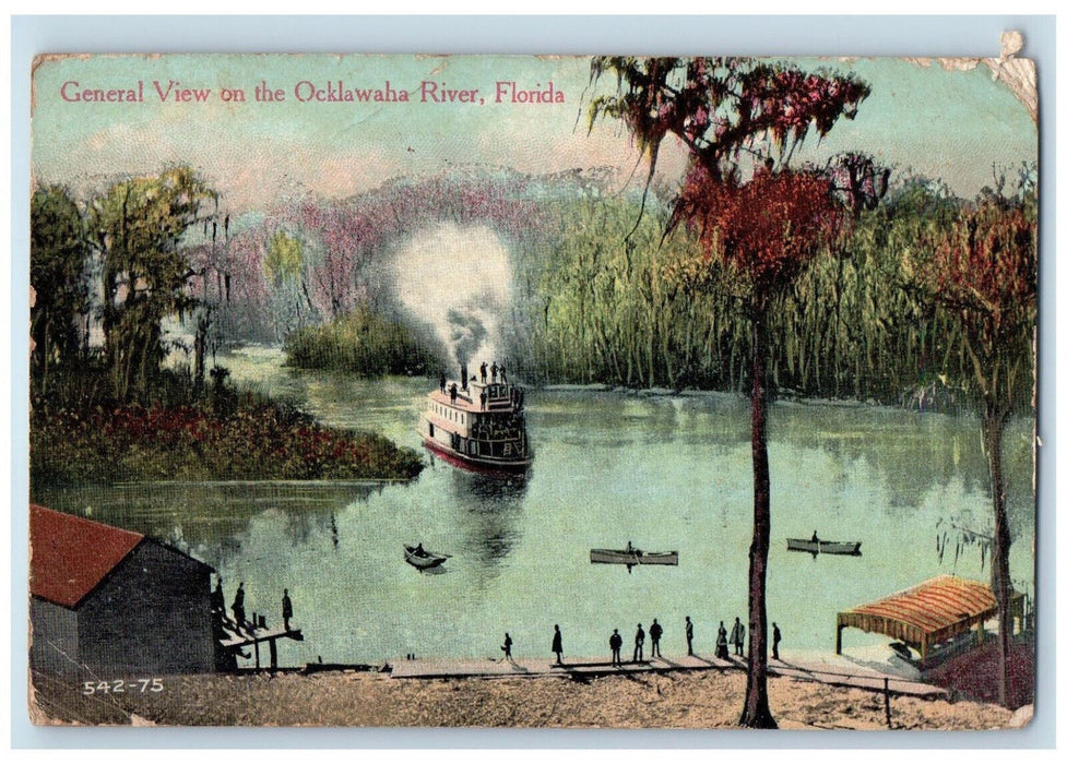 c1910 General View, Steamer on Ocklawaha River Florida FL Antique Postcard