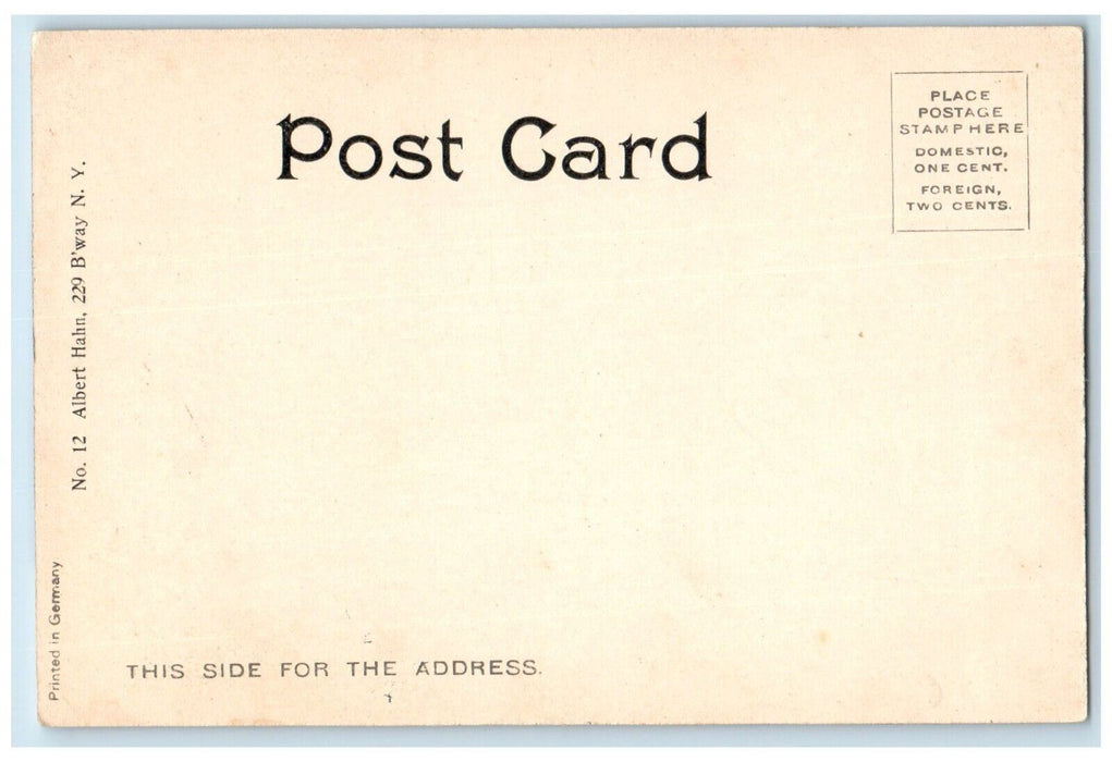 c1905 Hotel Kaaterskill Building Catskill Mountains New York NY Antique Postcard