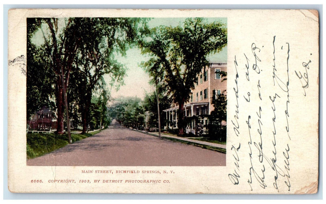 1904 Main Street Richfield Springs New York NY, Houses Tree-lined Scene Postcard