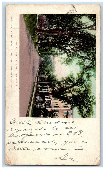 1904 Main Street Richfield Springs New York NY, Houses Tree-lined Scene Postcard