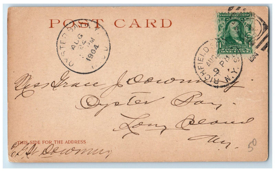 1904 Main Street Richfield Springs New York NY, Houses Tree-lined Scene Postcard