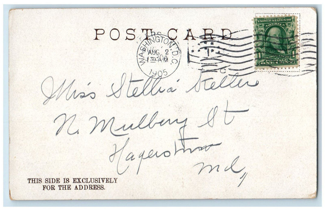 1905 Flowers Curved Border Smithsonian-Institute Washington DC Postcard
