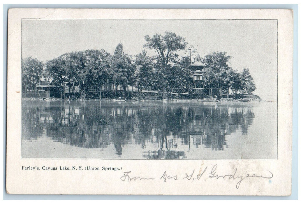 1904 Farley's Cayuga Lake (Union Springs) New York NY Antique Postcard