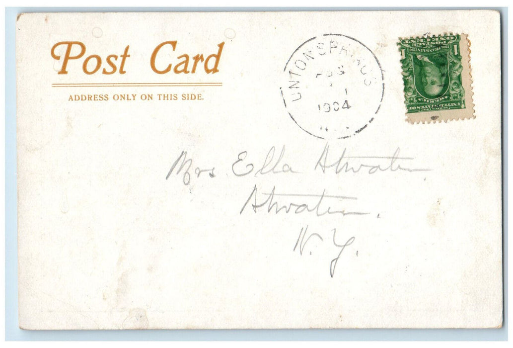 1904 Farley's Cayuga Lake (Union Springs) New York NY Antique Postcard