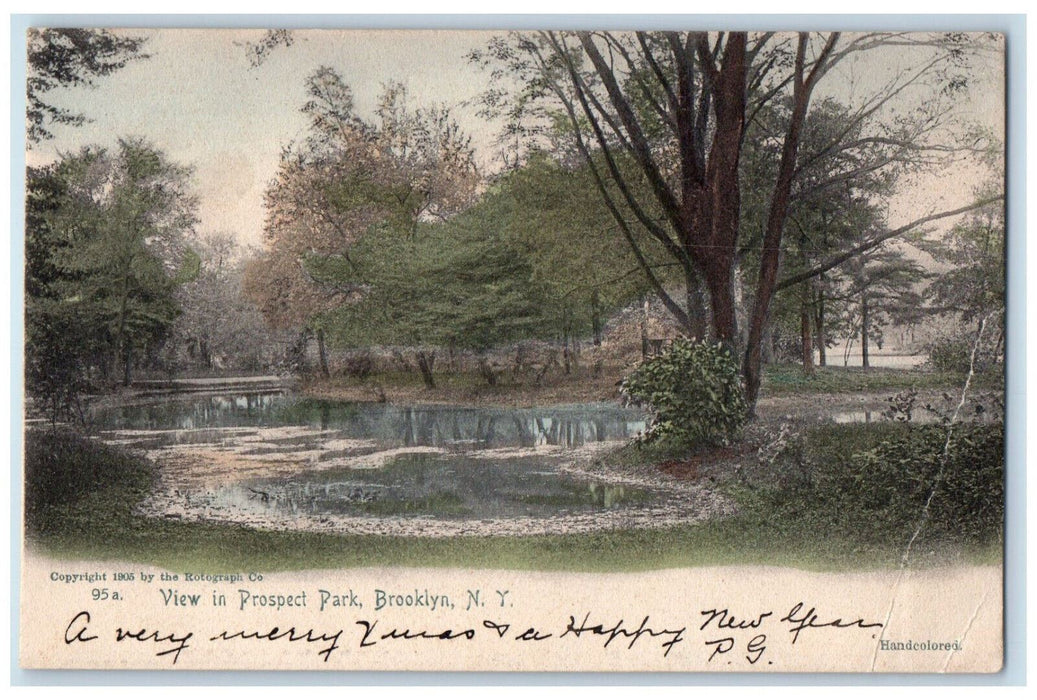 1905 View in Prospect Park Brooklyn New York NY Antique Posted Postcard