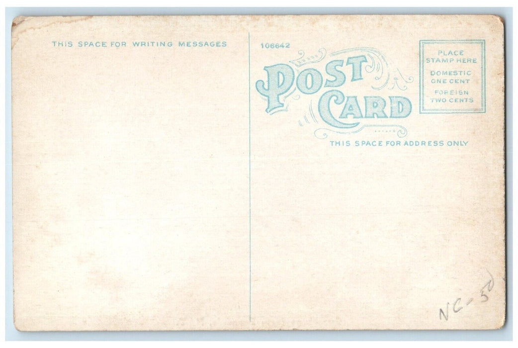 c1910's Greetings From Ferndale New York NY, Animals Blossom Trees Postcard