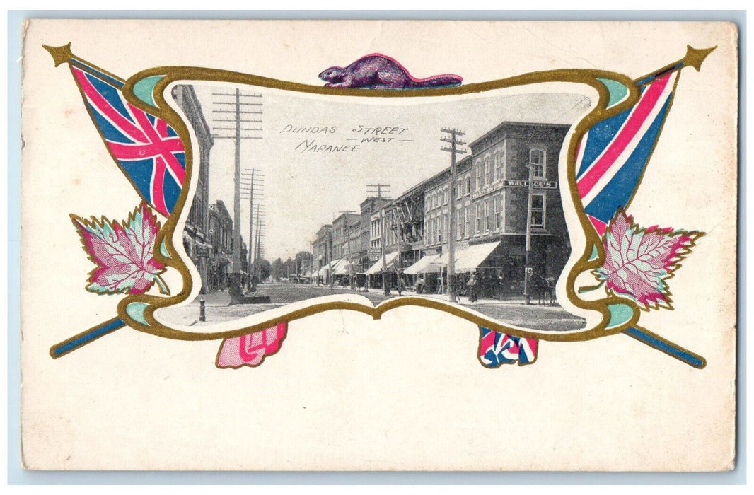 c1905 British Flag Leaf Animal Dundas Street West Napanee Canada Postcard