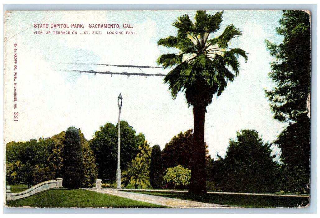 1911 View Up Terrace State Capitol Park Sacramento California CA Postcard