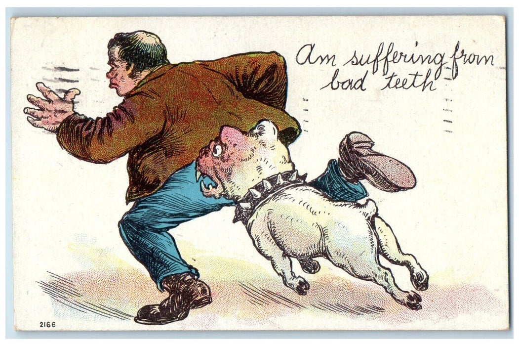 1908 Bulldog Dog Chasing Men Am Suffering From Bad Teeth Adams NY Postcard