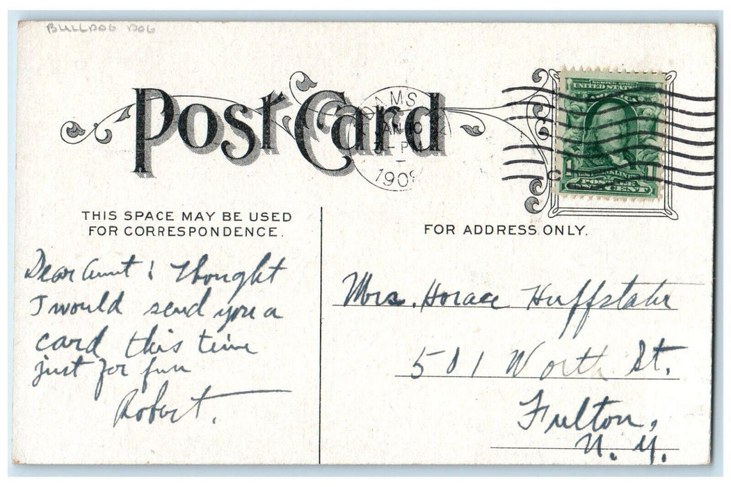 1908 Bulldog Dog Chasing Men Am Suffering From Bad Teeth Adams NY Postcard