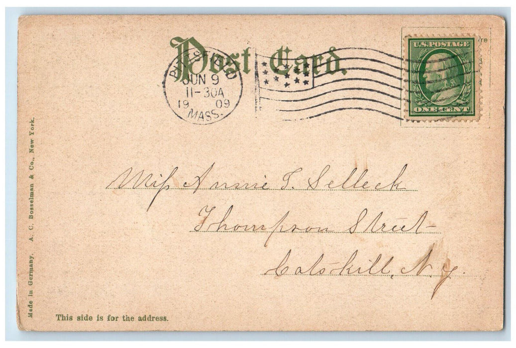 1909 John Sloanes Garden Flower View Lenox Pittsfield Massachusetts MA Postcard