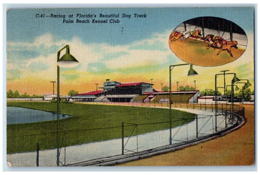 c1952 Racing Florida Beautiful Dog Track Palm Beach Kennel Club Florida Postcard