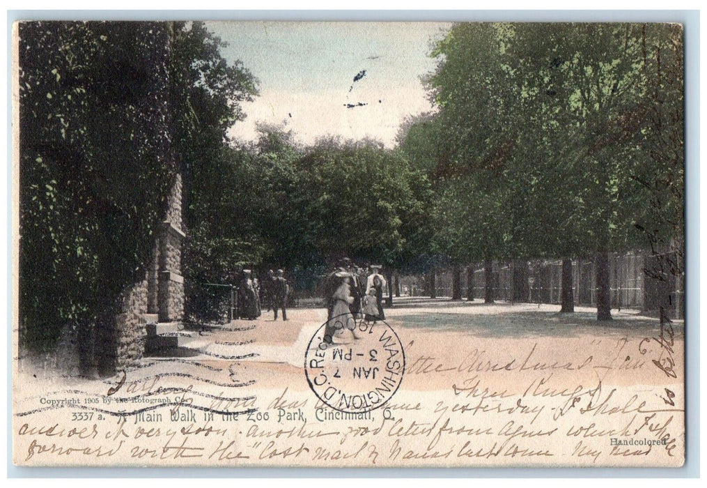 1906 Main Walk In The Zoo Park Tree-lined Cincinnati Ohio OH Antique Postcard