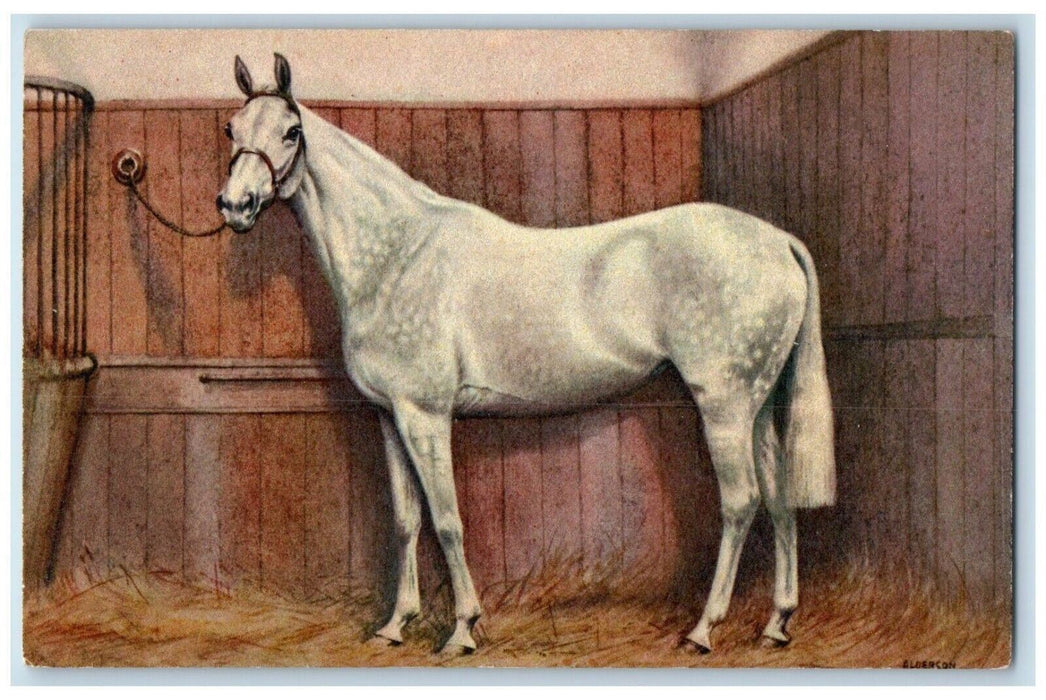 Horse Switzerland Stable At The Barn Grass, Animal Unposted Vintage Postcard