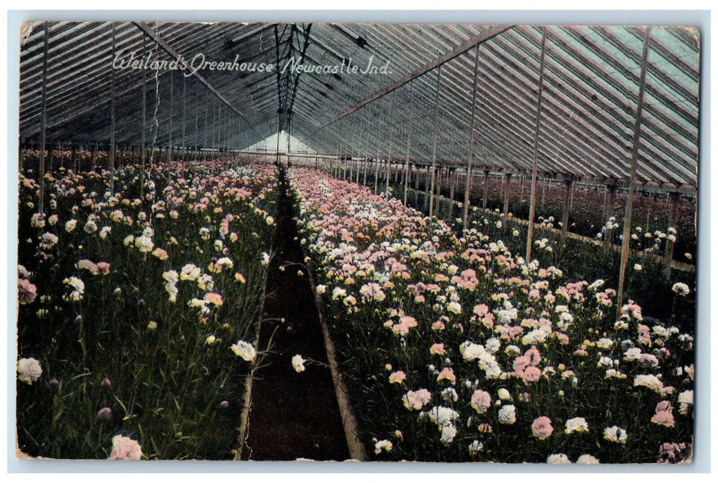 1911 Weiland's Greenhouse Newcastle Indiana IN Antique Posted Postcard