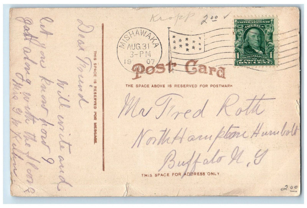 1907 Lover's Lane Springbrook Park South Bend Indiana IN Antique Postcard