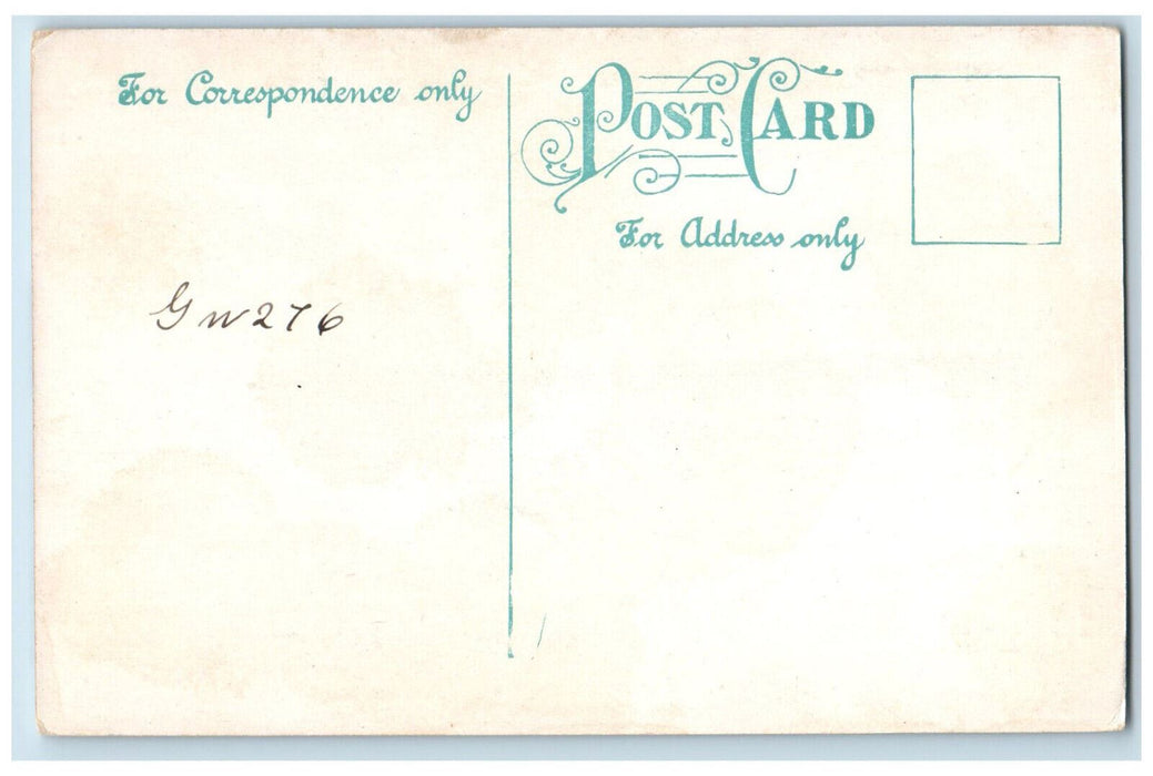 c1910 Along The Shore Swampscott Massachusetts MA Antique Unposted Postcard