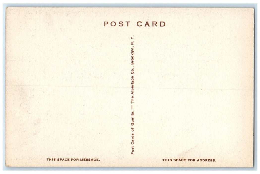 c1910 Red Lion Inn Stockbridge Massachusetts MA Albertype Co. Postcard