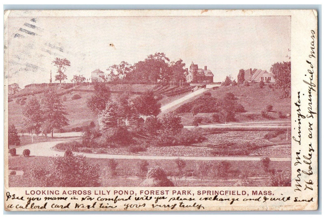 c1905 Looking Across Lily Pond Forest Park Springfield Massachusetts MA Postcard