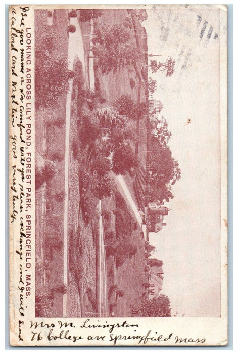 c1905 Looking Across Lily Pond Forest Park Springfield Massachusetts MA Postcard
