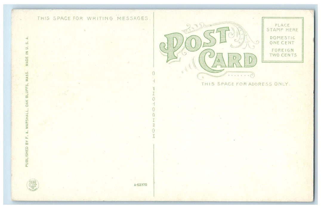 c1910 Boats at Lake Tashmoo Vineyard Haven Massachusetts MA Antique Postcard