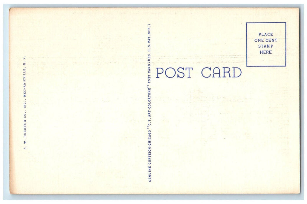 c1940's Skating Rink Skaters Dogs Winter at Lake Placid Club NY Postcard