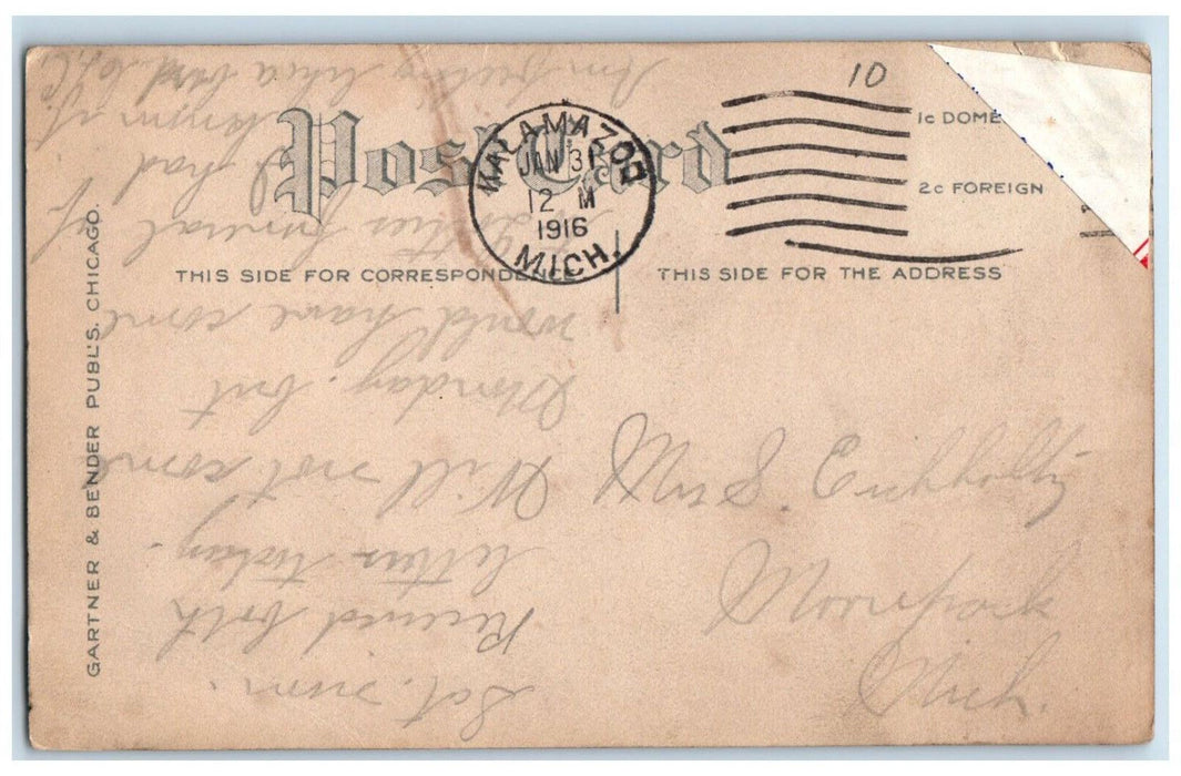 1916 Old Woman Caught Dog Eating Bone Kalamazoo Michigan MI Antique Postcard