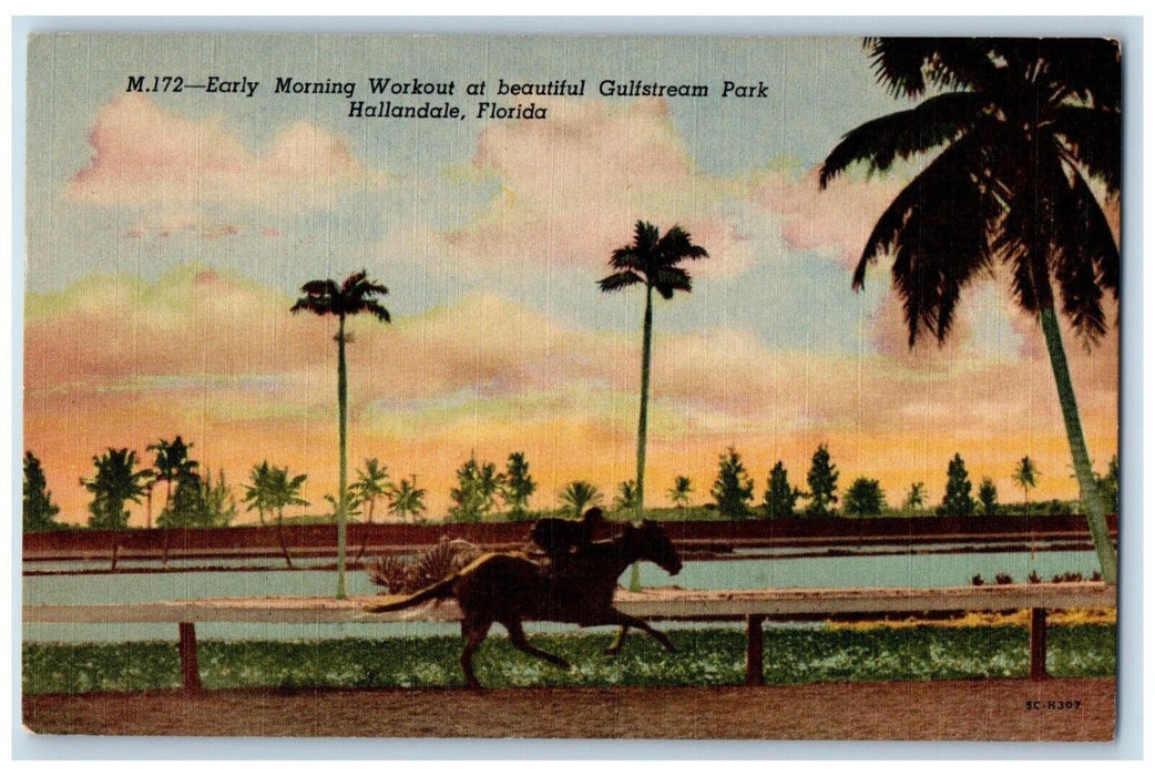 1962 Early Morning Workout Beautiful Gullstream Park Hallandale Florida Postcard