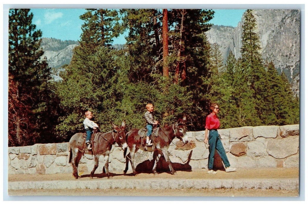 c1960 Yosemite National Park California Stables Donkeys California CA Postcard