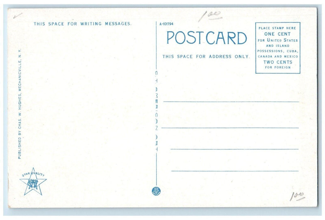 c1920 Lake Flower McKenzie Mt. Saranac Lake Adirondacks Mts. New York Postcard