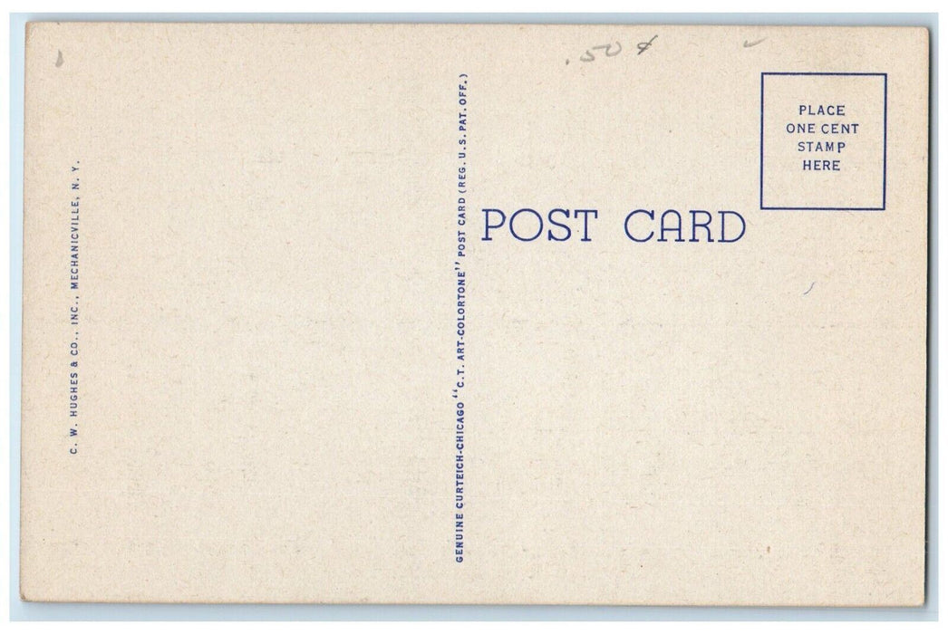 c1940 View Lake Showing Mt. Baker Lake Flower Saranac Lake New York NY Postcard