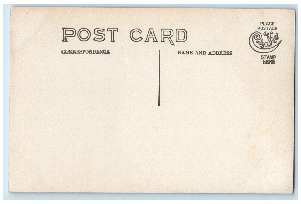 c1910's Turtle Brook Forest Monterey Massachusetts MA Photo Unposted Postcard