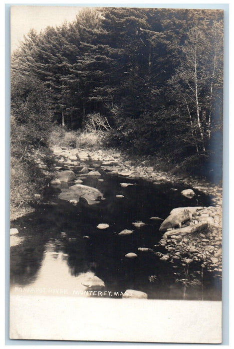 c1910's Konkapot River Forest Monterey Massachusetts MA Photo Unposted Postcard