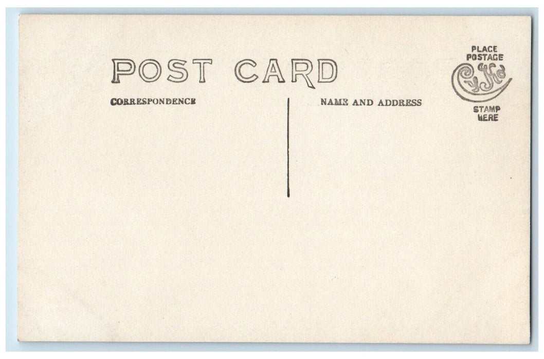 c1910's Konkapot River Cows Monterey Massachusetts MA Photo Unposted Postcard