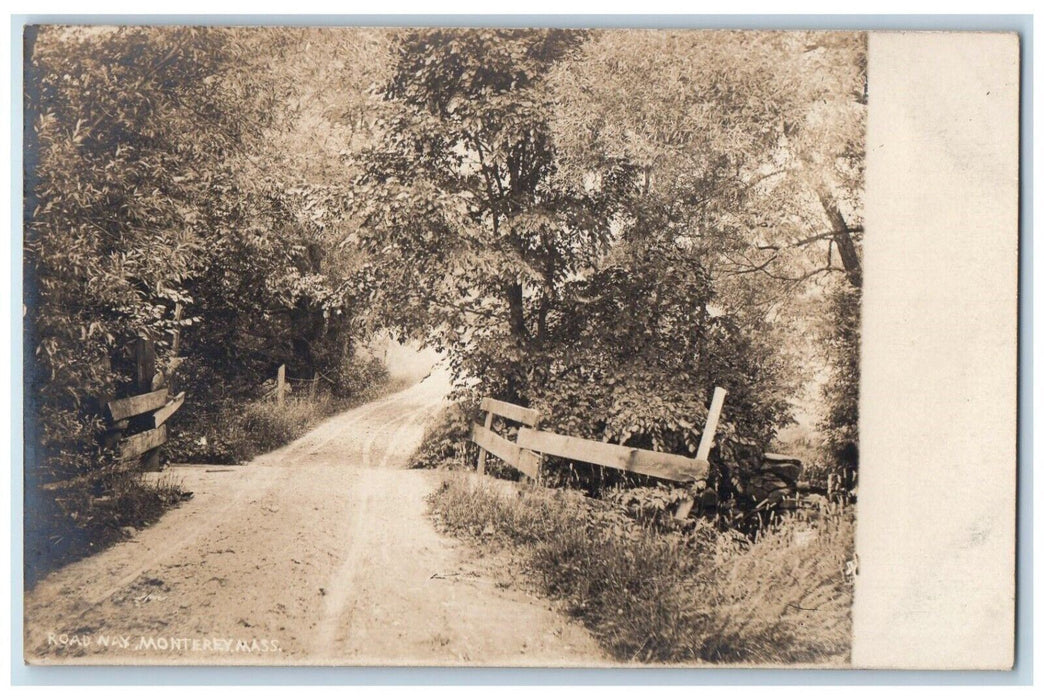 c1910's Roadway Forest Monterey Massachusetts MA Photo Unposted Postcard