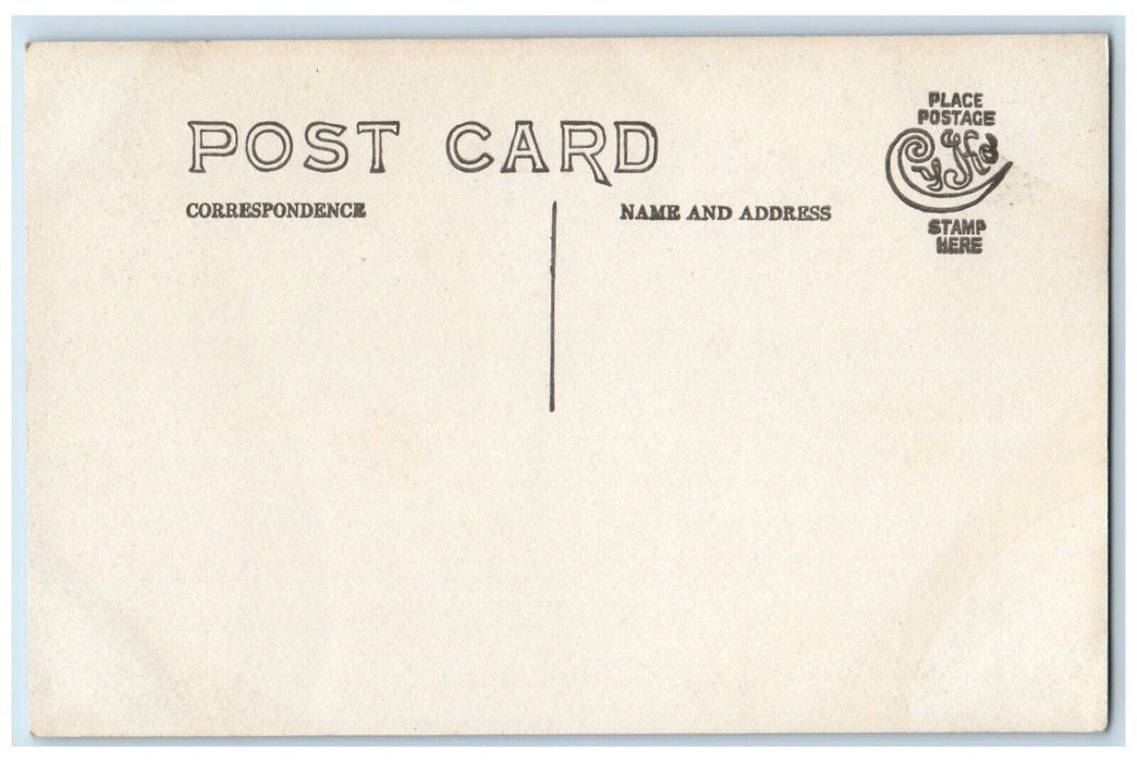 c1910's Roadway Forest Monterey Massachusetts MA Photo Unposted Postcard