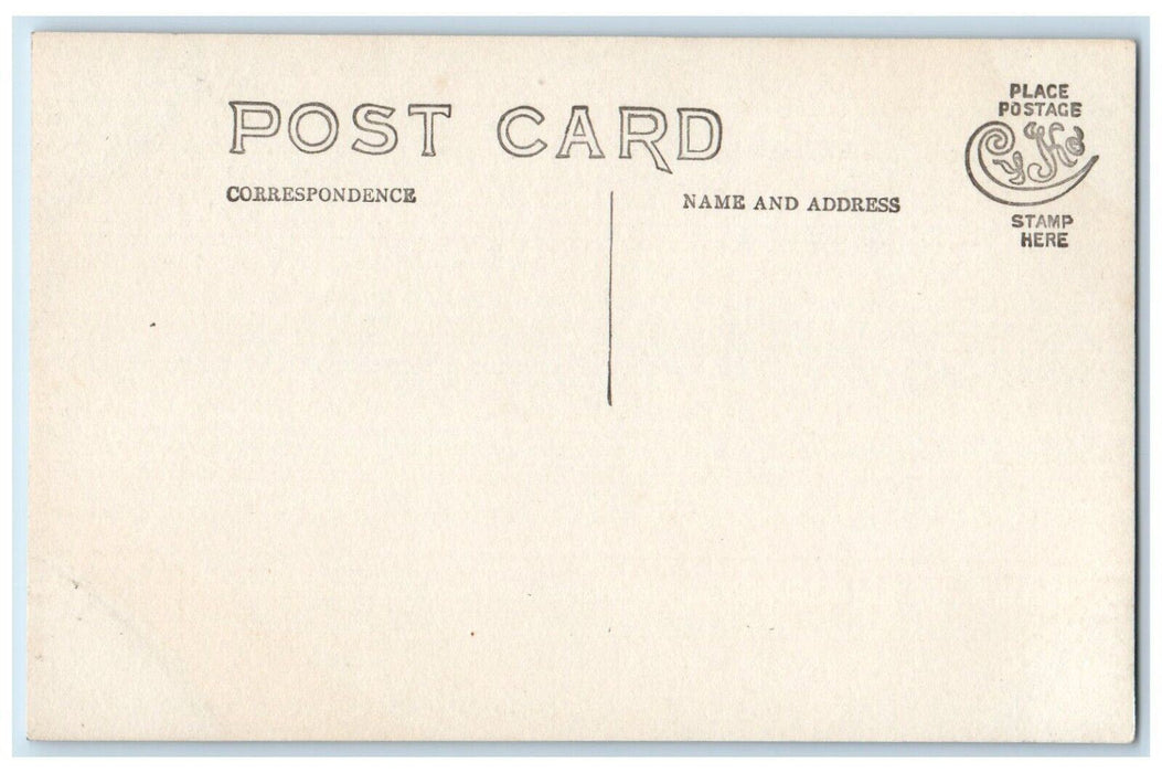 c1910's Fargo's Point Forest Monterey Massachusetts MA Photo Unposted Postcard