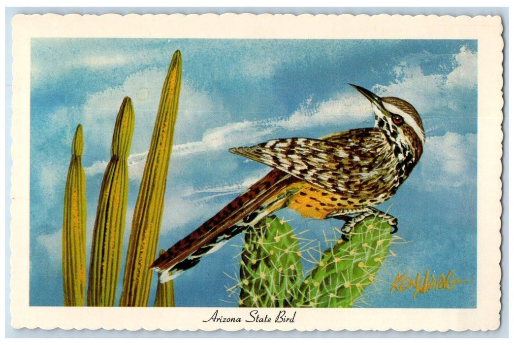 Alabama State Bird Cactus Wren Lover Of Desert Cactus Plants Kenhaag Postcard