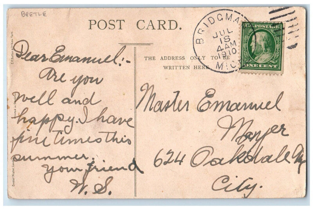 1910 Yellow Lily Flowers Beatle Bridgeman Michigan MI Posted Antique Postcard