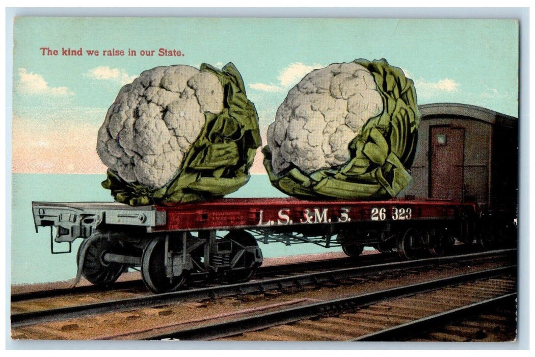 c1910's Exaggerated Cole Flowers Railroad LS & MS 26 323 Antique Postcard