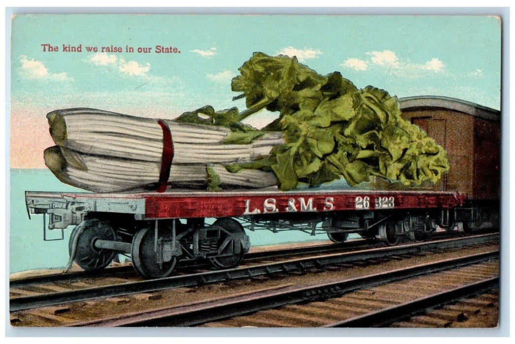 c1910's Exaggerated Sillery Train Railroad LS & MS 26 328 Antique Postcard