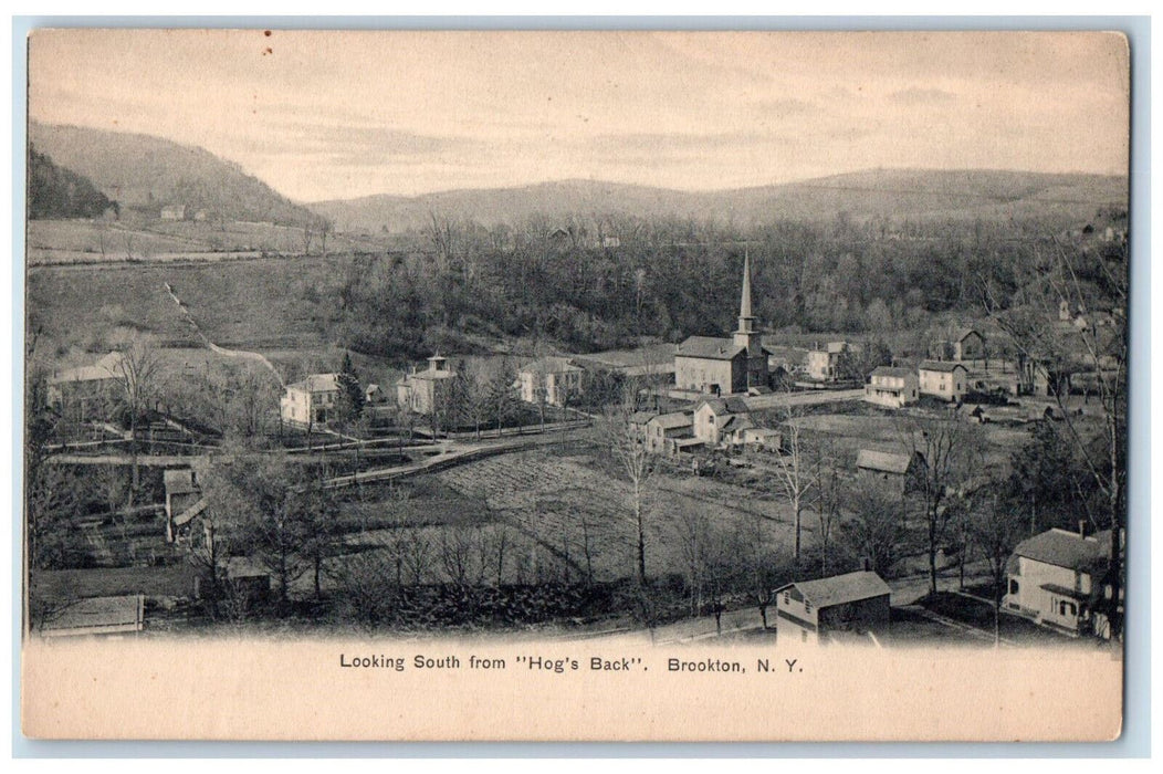 c1910 Looking South from "Hog's Back" Brookton New York NY Antique Postcard
